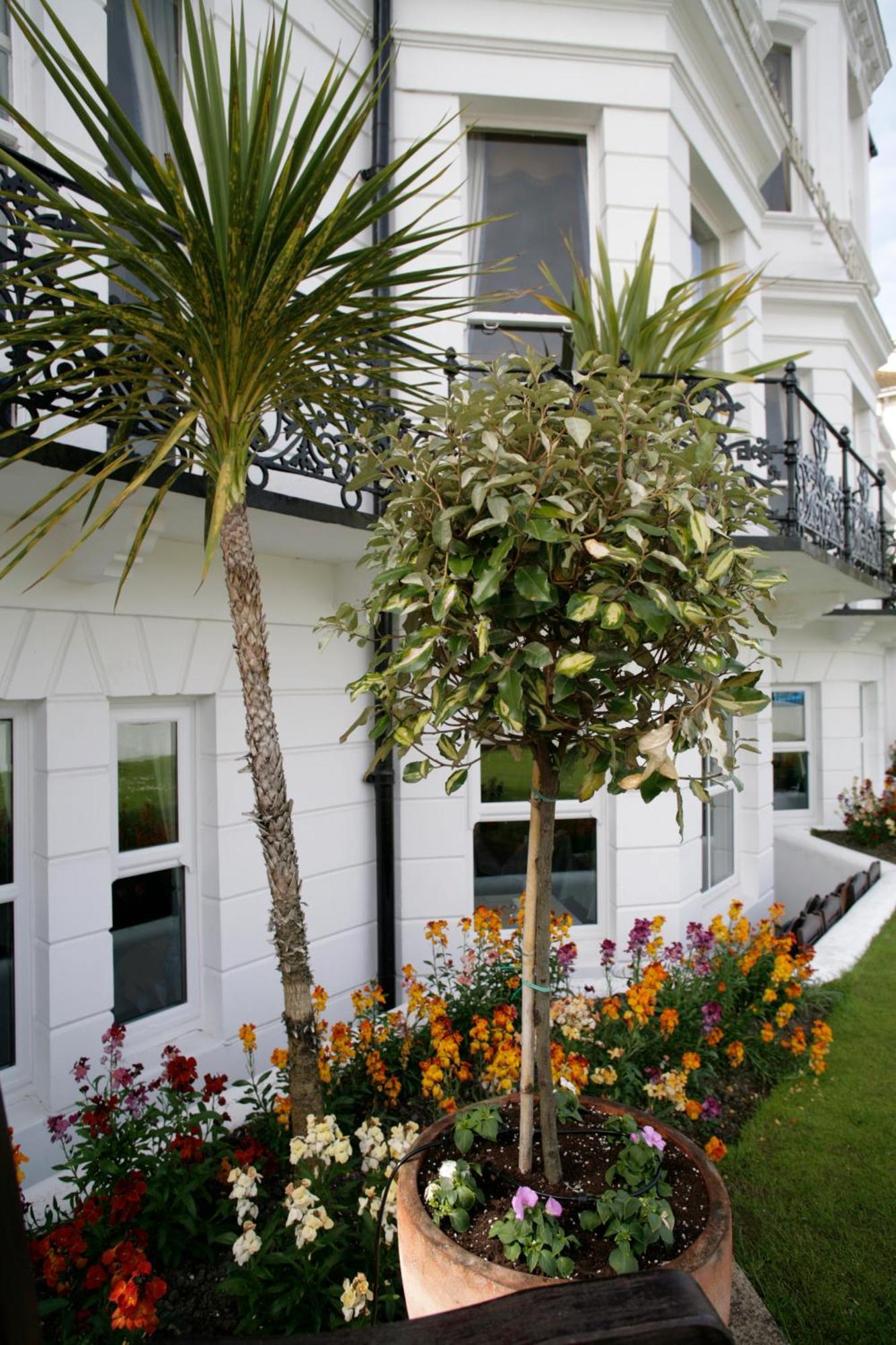 Devonshire Park Hotel Eastbourne Exterior photo